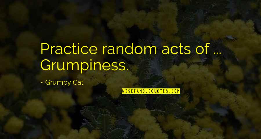 Grumpiness Quotes By Grumpy Cat: Practice random acts of ... Grumpiness.
