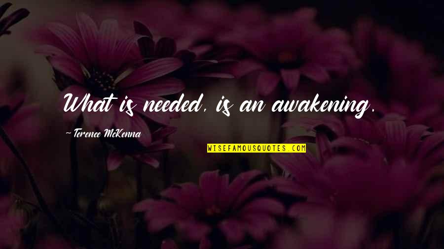 Grumpy Bear Quotes By Terence McKenna: What is needed, is an awakening.