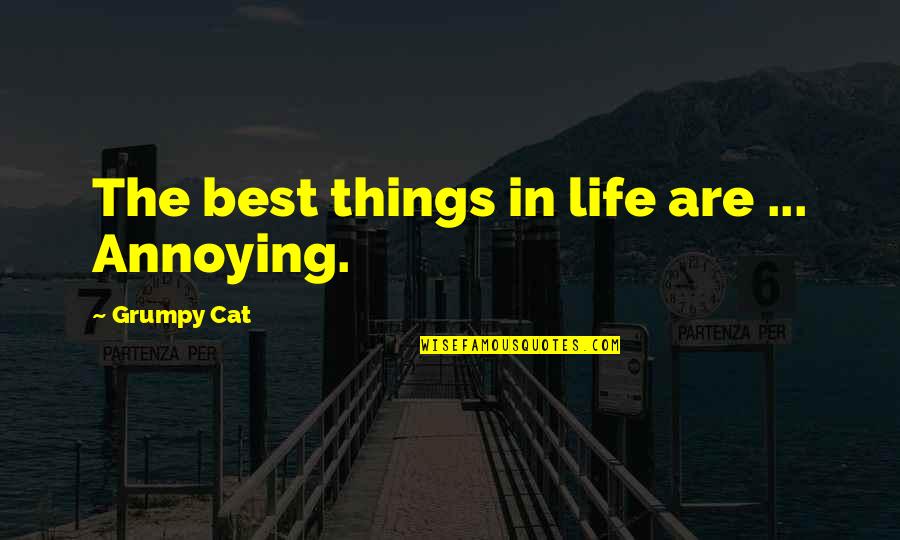 Grumpy Cat Quotes By Grumpy Cat: The best things in life are ... Annoying. Grumpy Cat Quotes By Grumpy Cat: The best things in life are ... Annoying.