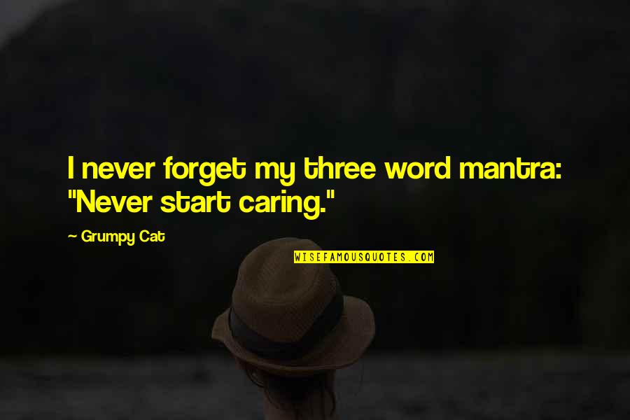 Grumpy Cat Quotes By Grumpy Cat: I never forget my three word mantra: "Never
