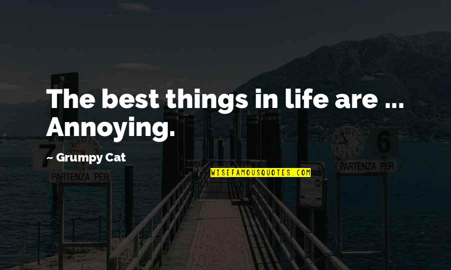 Grumpy Quotes By Grumpy Cat: The best things in life are ... Annoying.