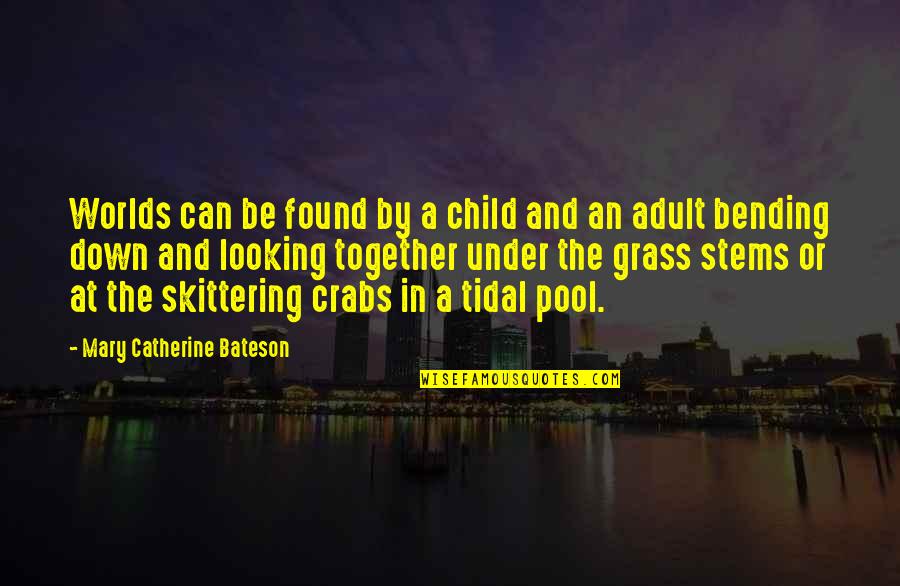 Gruninger Quotes By Mary Catherine Bateson: Worlds can be found by a child and