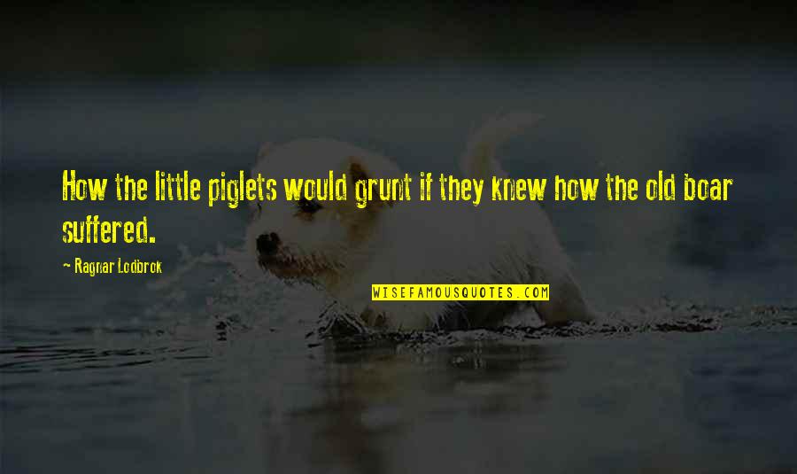 Grunt Quotes By Ragnar Lodbrok: How the little piglets would grunt if they