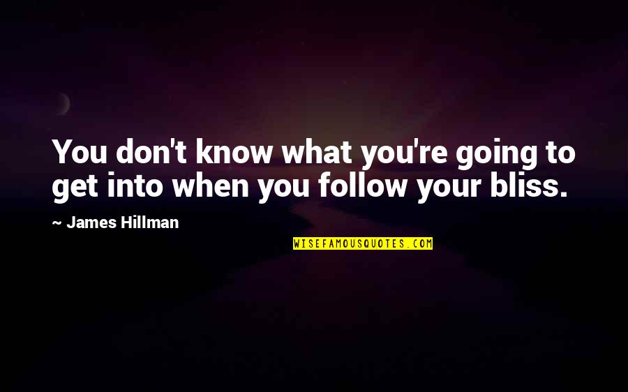 Grupperejser Quotes By James Hillman: You don't know what you're going to get