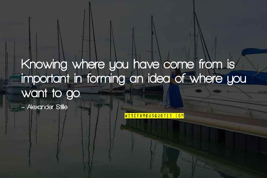 Gt Goku Quotes By Alexander Stille: Knowing where you have come from is important Gt Goku Quotes By Alexander Stille: Knowing where you have come from is important
