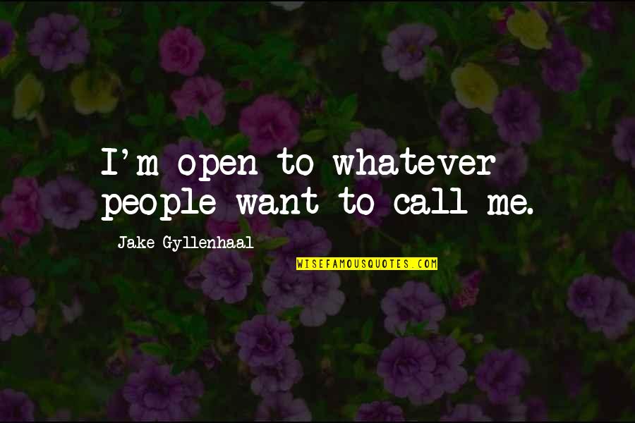 Gt Trunks Quotes By Jake Gyllenhaal: I'm open to whatever people want to call