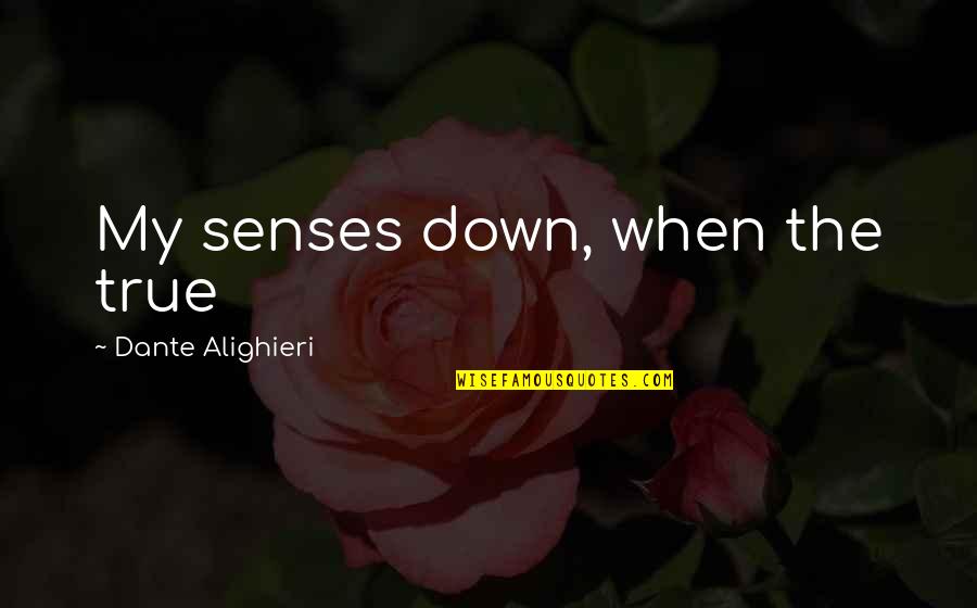 Gta V Funny Quotes By Dante Alighieri: My senses down, when the true Gta V Funny Quotes By Dante Alighieri: My senses down, when the true