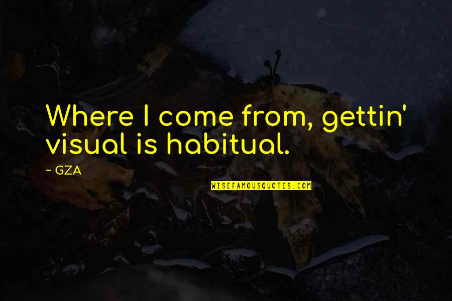 Gteau Sec Quotes By GZA: Where I come from, gettin' visual is habitual.