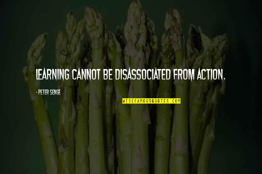 Guadagnare Conjugation Quotes By Peter Senge: Learning cannot be disassociated from action.