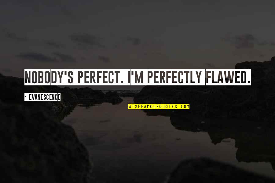 Guandique Roque Quotes By Evanescence: Nobody's perfect. I'm perfectly flawed.