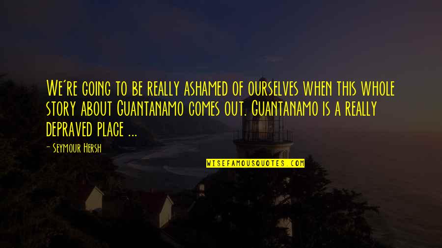 Guantanamo Quotes By Seymour Hersh: We're going to be really ashamed of ourselves