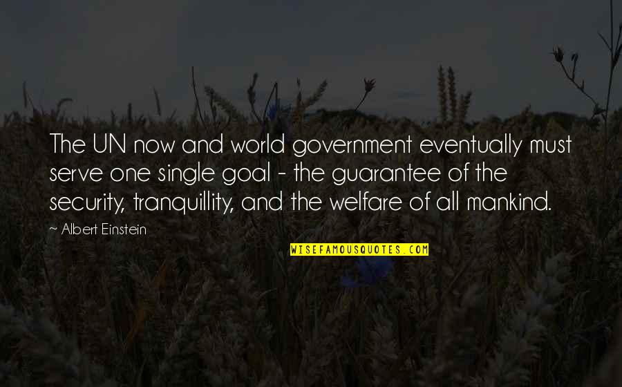 Guarantee Quotes By Albert Einstein: The UN now and world government eventually must