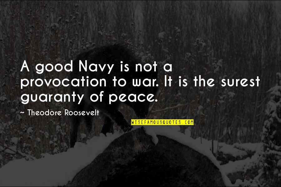 Guaranty Quotes By Theodore Roosevelt: A good Navy is not a provocation to