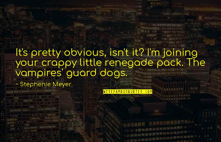 Guard Dogs Quotes By Stephenie Meyer: It's pretty obvious, isn't it? I'm joining your
