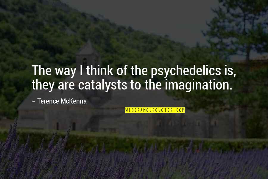 Guard Falzon Quotes By Terence McKenna: The way I think of the psychedelics is,