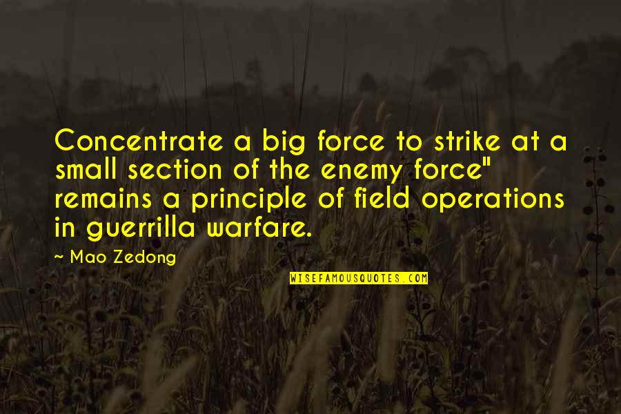 Guardianee Quotes By Mao Zedong: Concentrate a big force to strike at a