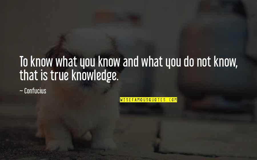 Guardians Of The Galaxy Plan Quotes By Confucius: To know what you know and what you