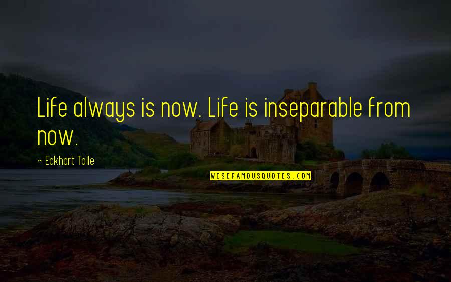Guarding Family Quotes By Eckhart Tolle: Life always is now. Life is inseparable from