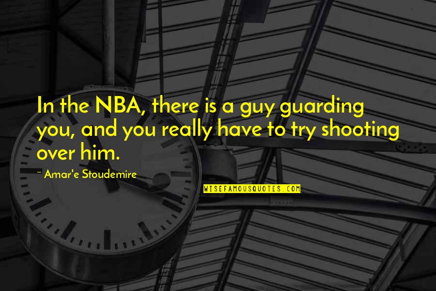Guarding Quotes By Amar'e Stoudemire: In the NBA, there is a guy guarding