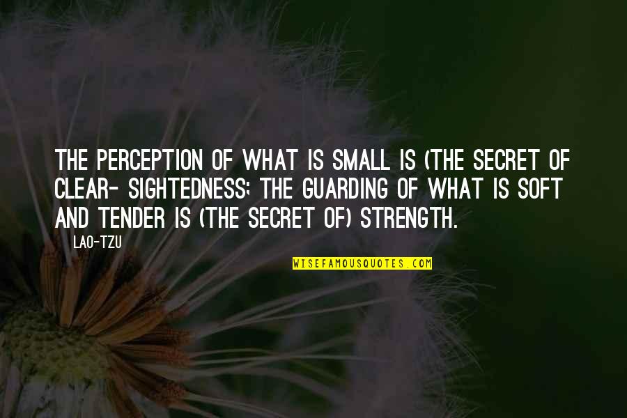 Guarding Quotes By Lao-Tzu: The perception of what is small is (the