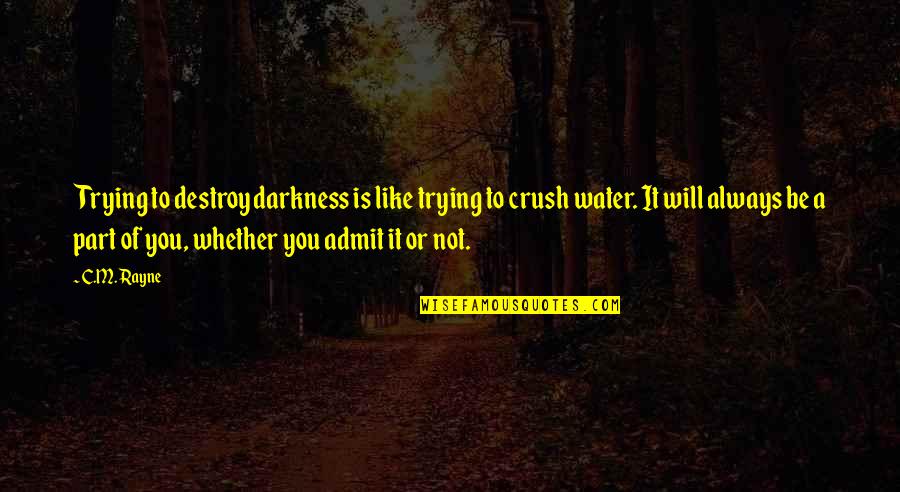 Guarneri Integrative Health Quotes By C.M. Rayne: Trying to destroy darkness is like trying to Guarneri Integrative Health Quotes By C.M. Rayne: Trying to destroy darkness is like trying to