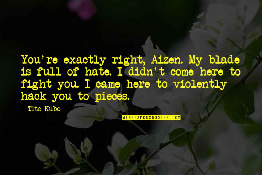 Gubert Baby Quotes By Tite Kubo: You're exactly right, Aizen. My blade is full