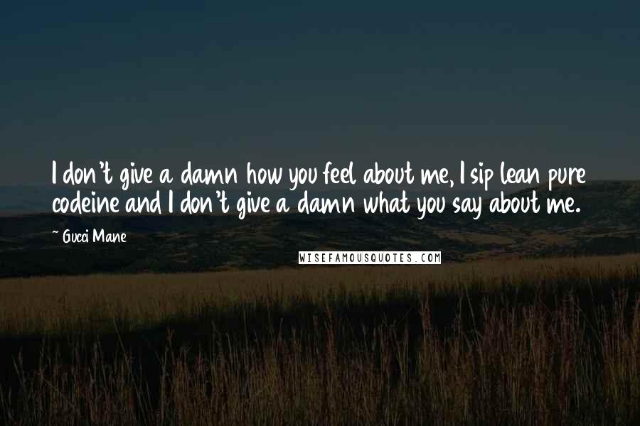 Gucci Mane quotes: I don't give a damn how you feel about me, I sip lean pure codeine and I don't give a damn what you say about me.