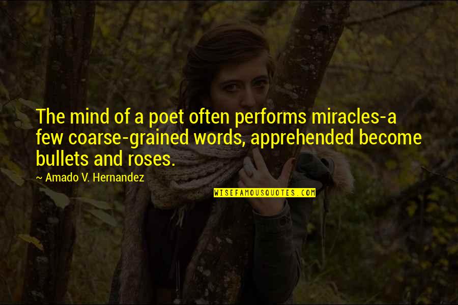 Guenuine Quotes By Amado V. Hernandez: The mind of a poet often performs miracles-a