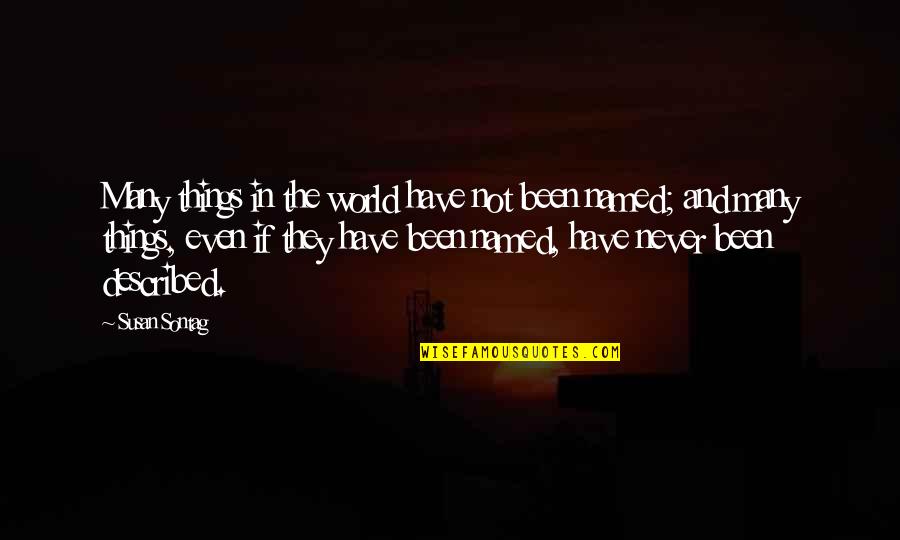 Guerda Nicolas Quotes By Susan Sontag: Many things in the world have not been Guerda Nicolas Quotes By Susan Sontag: Many things in the world have not been