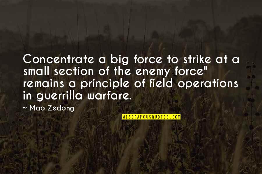Guerrilla Quotes By Mao Zedong: Concentrate a big force to strike at a