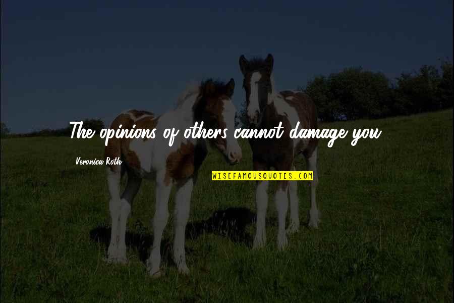 Guesstimate Social Security Quotes By Veronica Roth: The opinions of others cannot damage you.