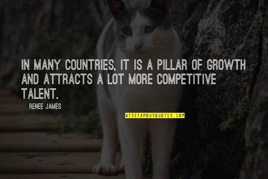 Guesstimate Words Quotes By Renee James: In many countries, IT is a pillar of