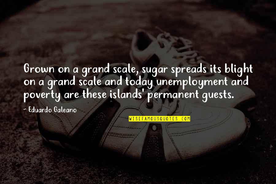 Guests Quotes By Eduardo Galeano: Grown on a grand scale, sugar spreads its