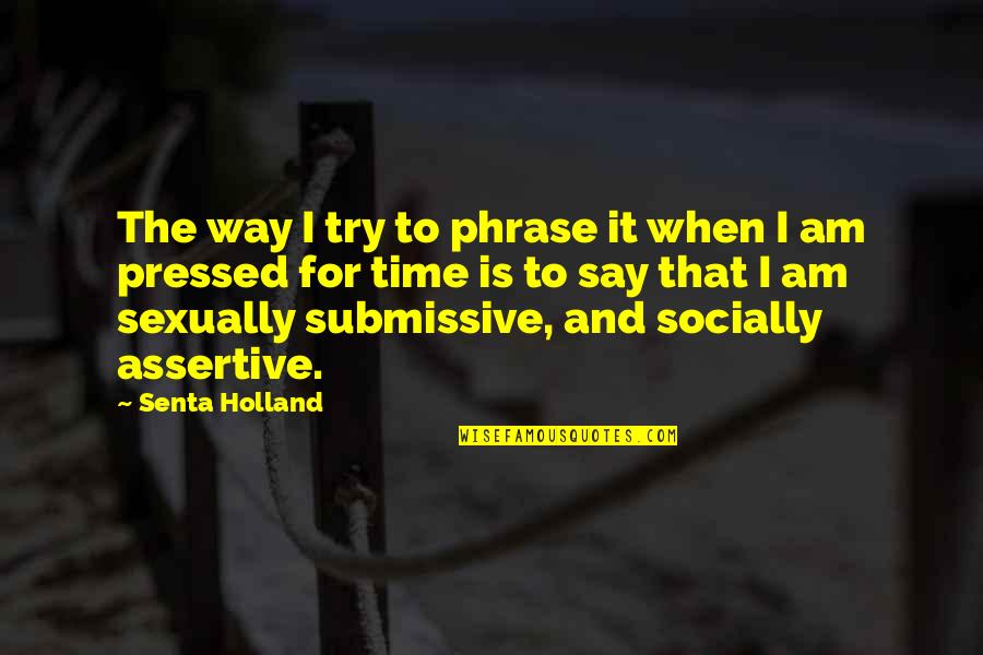 Guevaras Income Quotes By Senta Holland: The way I try to phrase it when Guevaras Income Quotes By Senta Holland: The way I try to phrase it when