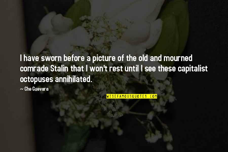 Guevara's Quotes By Che Guevara: I have sworn before a picture of the Guevara's Quotes By Che Guevara: I have sworn before a picture of the