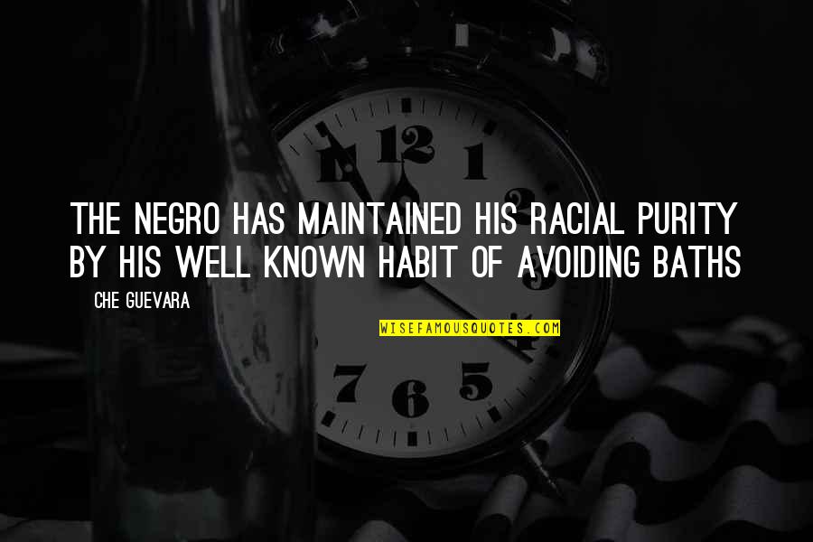 Guevara's Quotes By Che Guevara: The negro has maintained his racial purity by