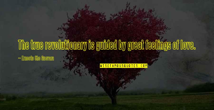 Guevara's Quotes By Ernesto Che Guevara: The true revolutionary is guided by great feelings Guevara's Quotes By Ernesto Che Guevara: The true revolutionary is guided by great feelings