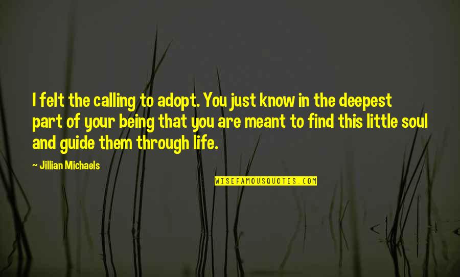 Guide Through Life Quotes By Jillian Michaels: I felt the calling to adopt. You just