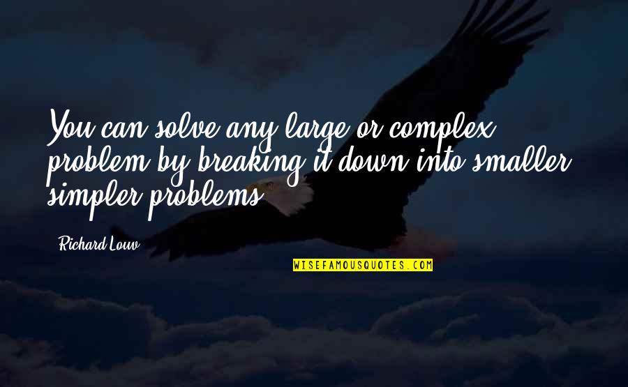 Guildnet Inc Quotes By Richard Louv: You can solve any large or complex problem