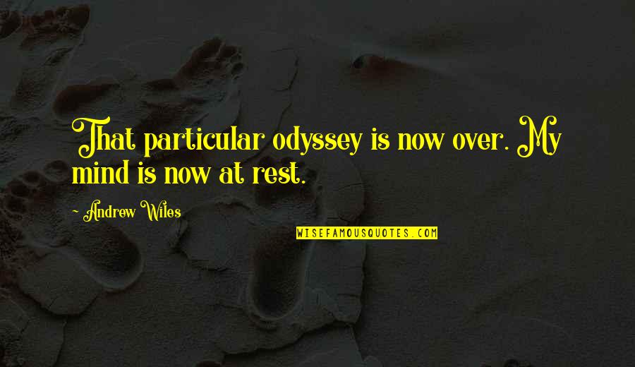 Guilhem Cayzac Quotes By Andrew Wiles: That particular odyssey is now over. My mind