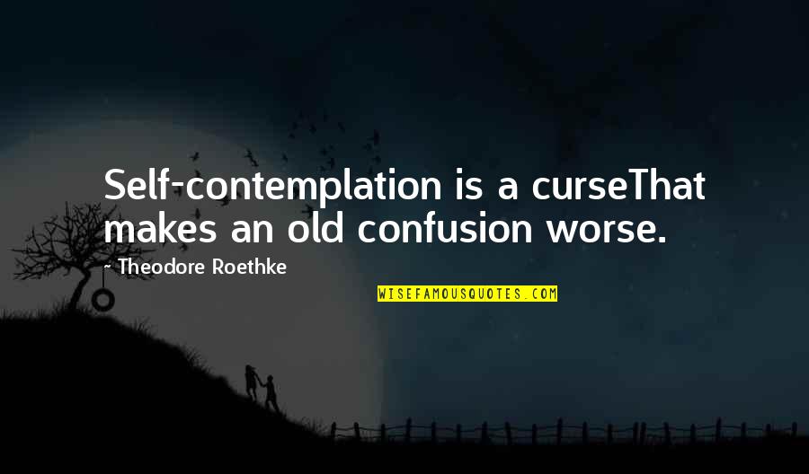 Guiliano Canterini Quotes By Theodore Roethke: Self-contemplation is a curseThat makes an old confusion
