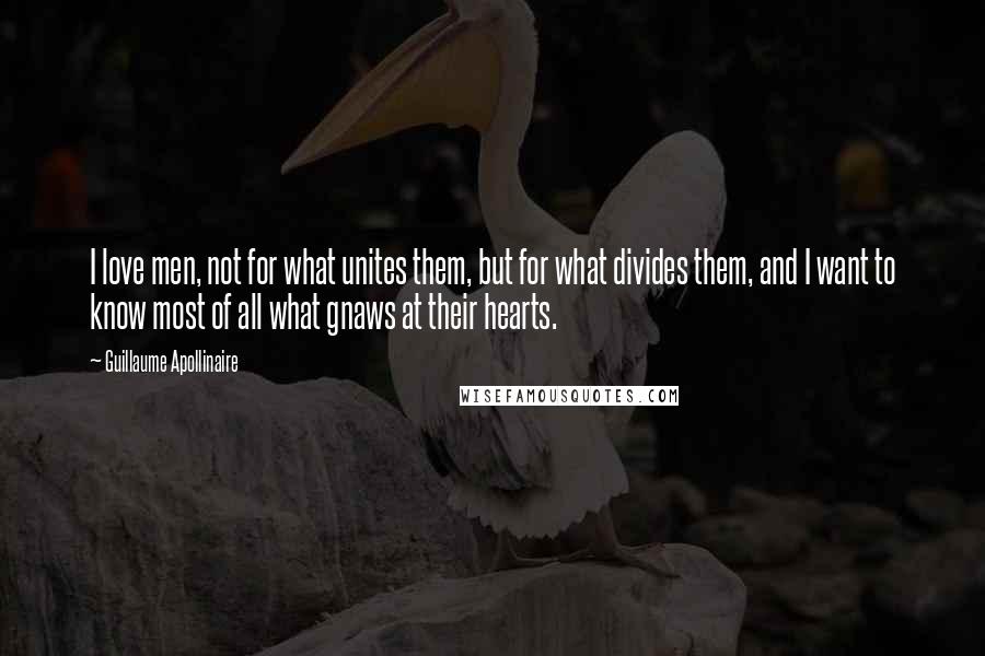 Guillaume Apollinaire quotes: I love men, not for what unites them, but for what divides them, and I want to know most of all what gnaws at their hearts.