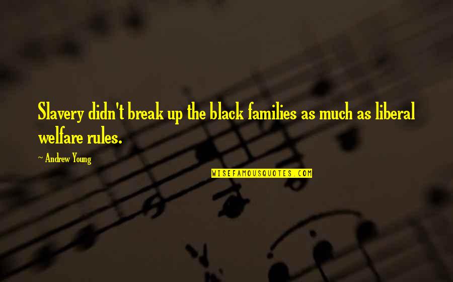 Guillemet Francais Quotes By Andrew Young: Slavery didn't break up the black families as