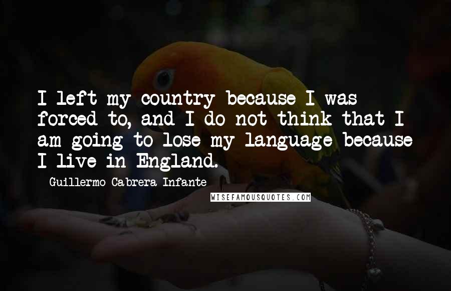 Guillermo Cabrera Infante quotes: I left my country because I was forced to, and I do not think that I am going to lose my language because I live in England.