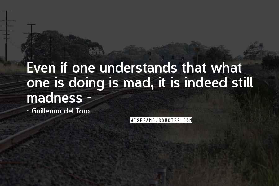 Guillermo Del Toro quotes: Even if one understands that what one is doing is mad, it is indeed still madness -