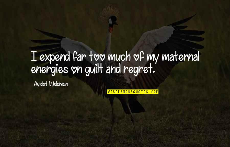 Guilt And Regret Quotes By Ayelet Waldman: I expend far too much of my maternal