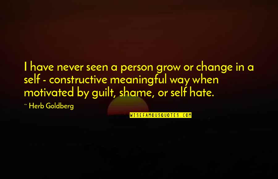 Guilt Shame Quotes By Herb Goldberg: I have never seen a person grow or