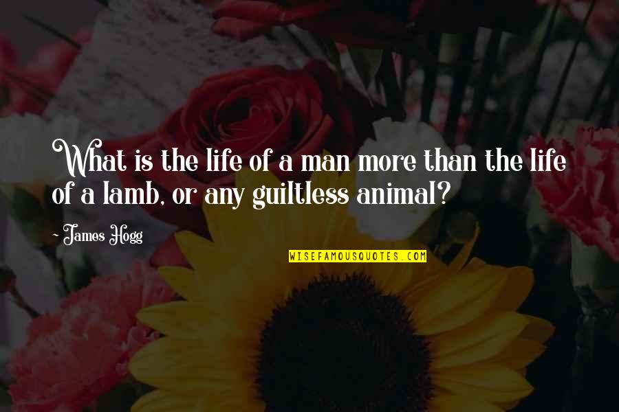 Guiltless Quotes By James Hogg: What is the life of a man more