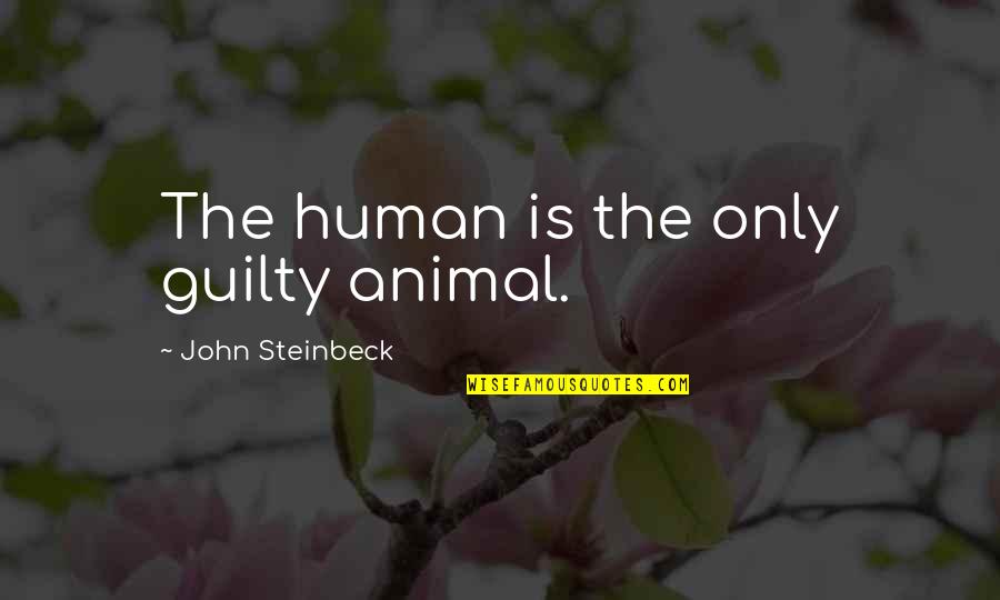 Guilty Quotes By John Steinbeck: The human is the only guilty animal. Guilty Quotes By John Steinbeck: The human is the only guilty animal.