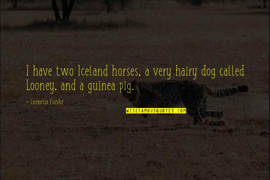 Guinea Dog Quotes By Cornelia Funke: I have two Iceland horses, a very hairy